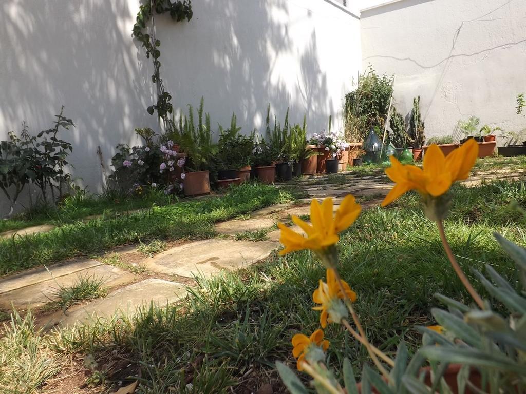 Araucaria Bed & Breakfast Torre San Giovanni Ugento Exterior photo